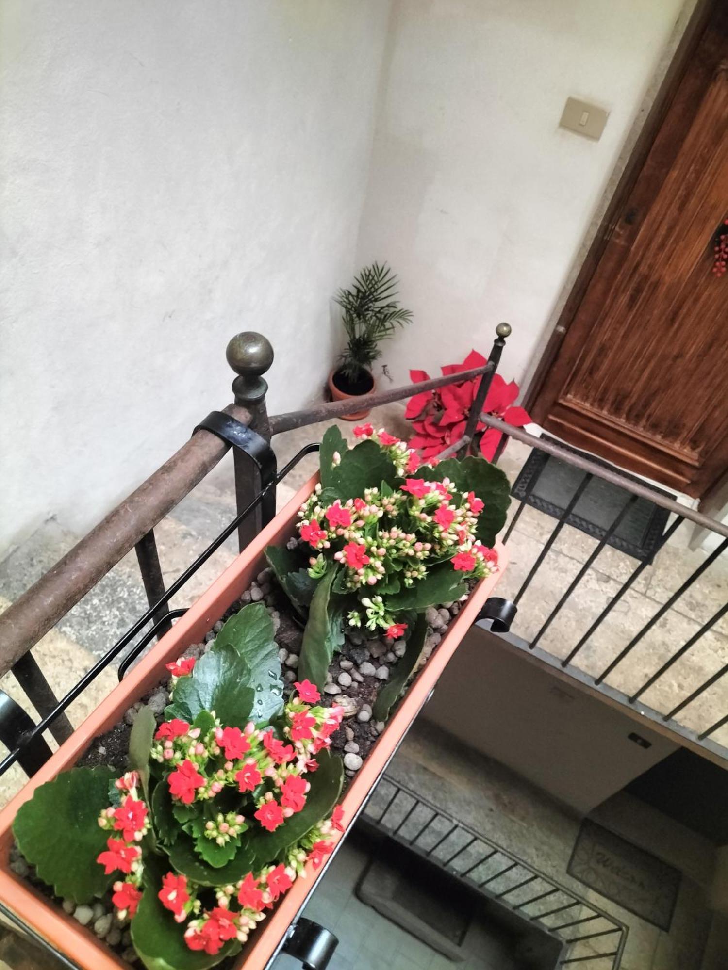 Apartament La Conchiglia Tra I Due Mari Trapani Zewnętrze zdjęcie